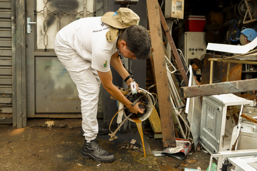 Dengue ou Chikungunya? Entenda os sintomas que ajudam a diferenciar as doenças transmitidas pelo Aedes aegypti